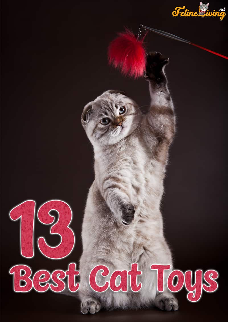 Top 13 Beste kattenspeelgoed Beoordelingen: Cool &Engaging Toys for Indoor Cats
