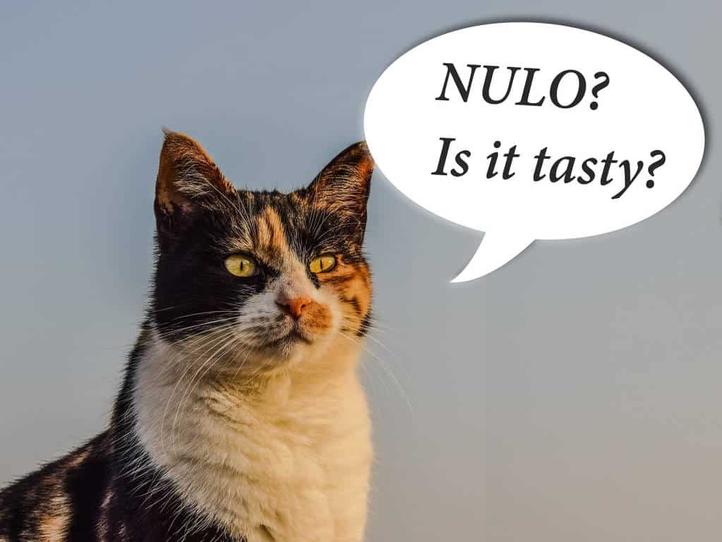 een kat met een wolk boven haar hoofd waarin staat geschreven ''Nulo? Is het lekker?''