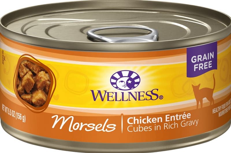Wellness Cat Food Reviews [year]: Compleet merkoverzicht 13