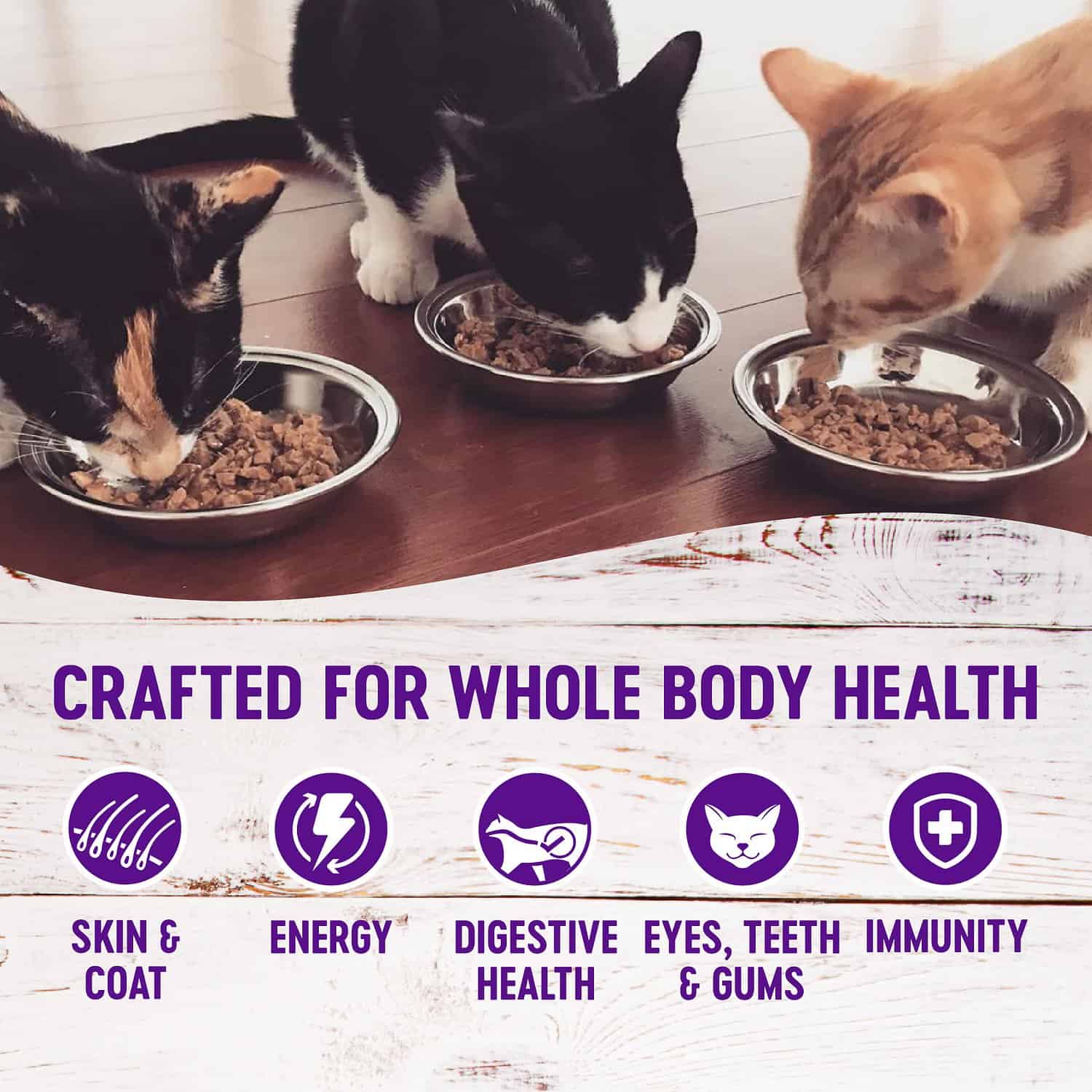 wellness kattenvoer beoordelingen