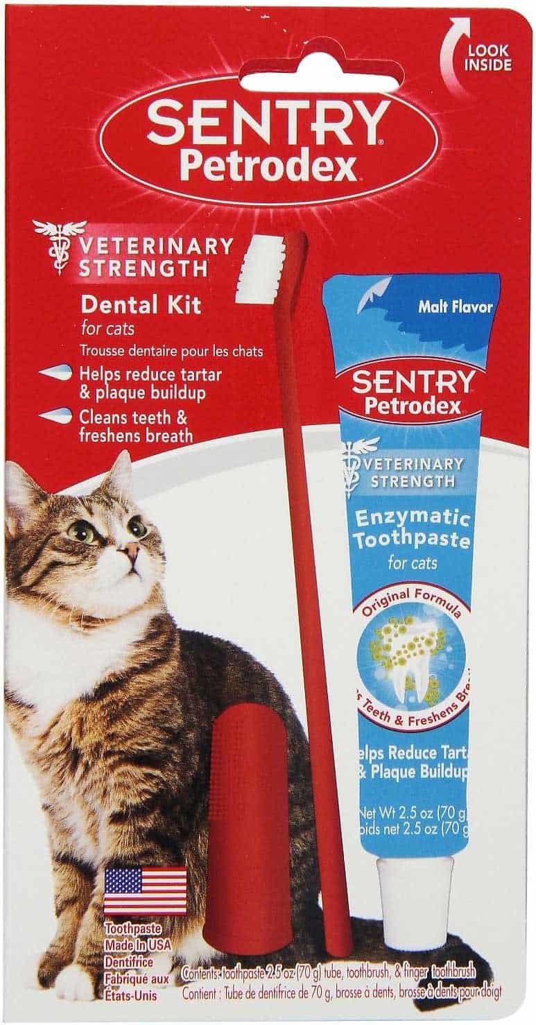 8 Beste kattentandpasta om dit te proberen [year]! Kun je een menselijke tandpasta voor katten gebruiken? 4