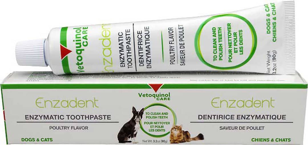 8 Beste kattentandpasta om dit te proberen [year]! Kun je een menselijke tandpasta voor katten gebruiken? 6