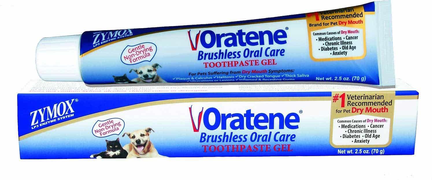 8 Beste kattentandpasta om dit te proberen [year]! Kun je een menselijke tandpasta voor katten gebruiken? 8