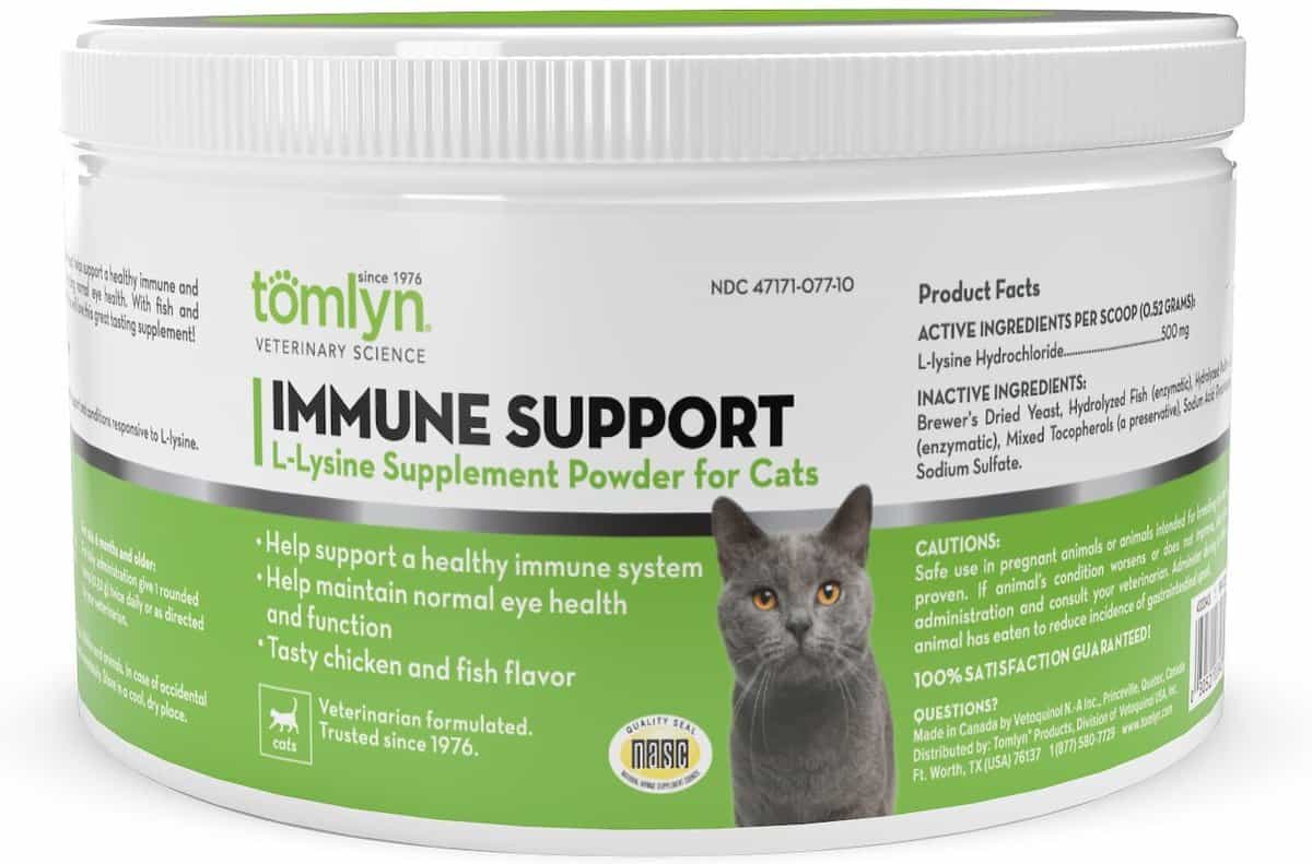 De beste vitamines voor katten in [year]! Maar hebben katten vitamines en supplementen nodig? 4