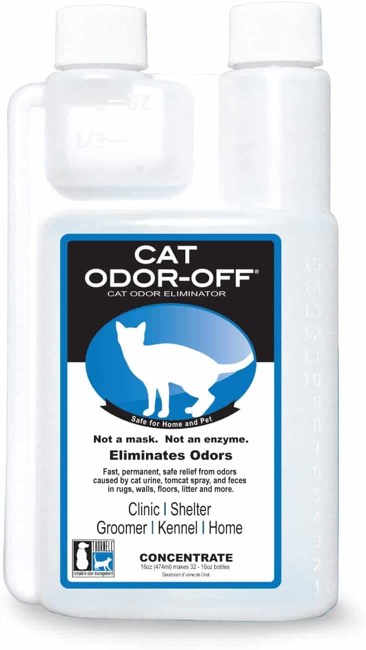 De beste kattenurineverwijderaar om de geur in zijn sporen te stoppen 28