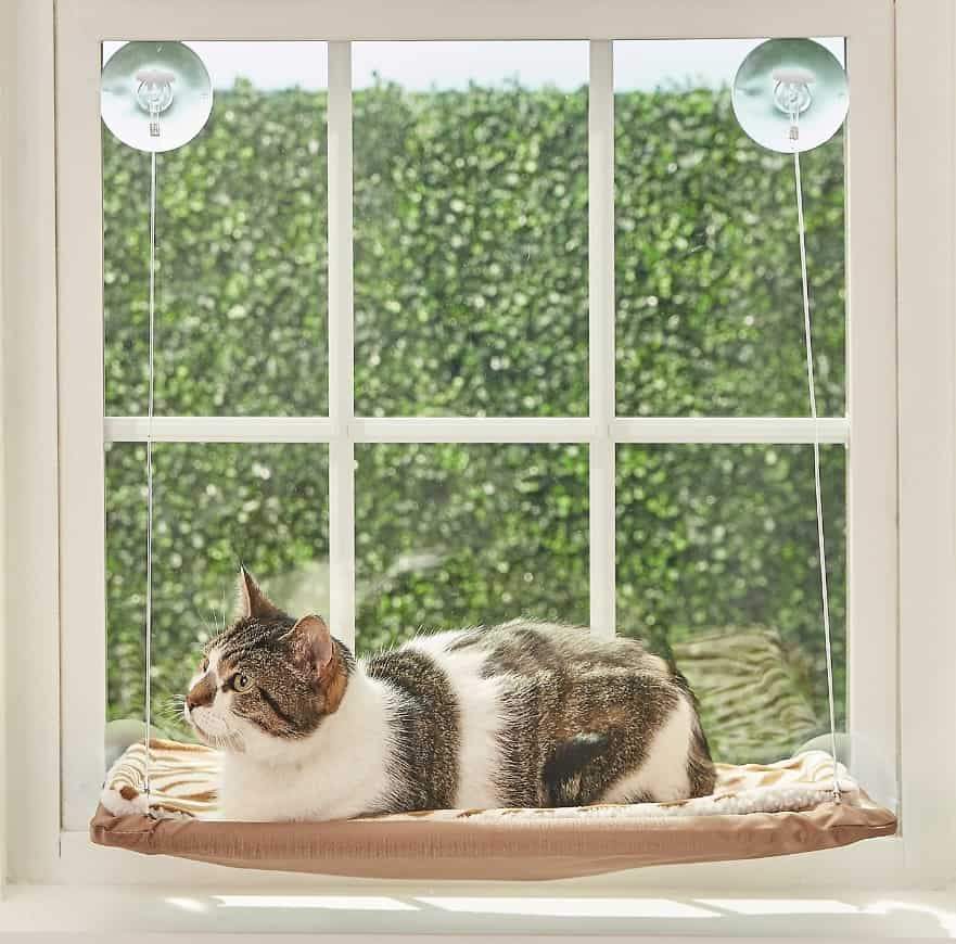 De beste kattenvensterbaars van [year]: Exclusief voor Katachtigen Die Van Comfort houden 10
