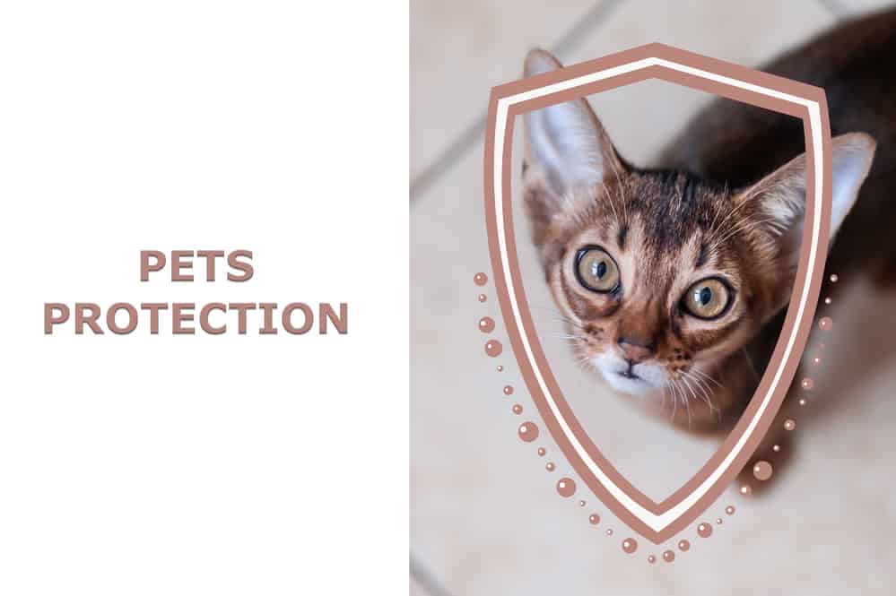 Bescherming van huisdieren 