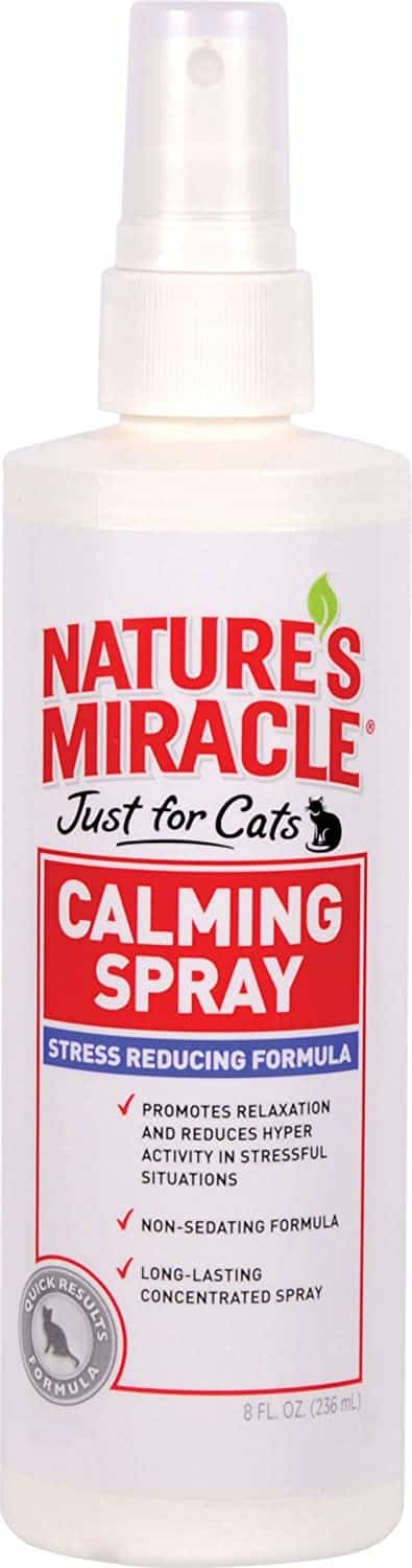 6 Beste katten kalmerende spray in [year]: Een kopersgids en beoordeling 12