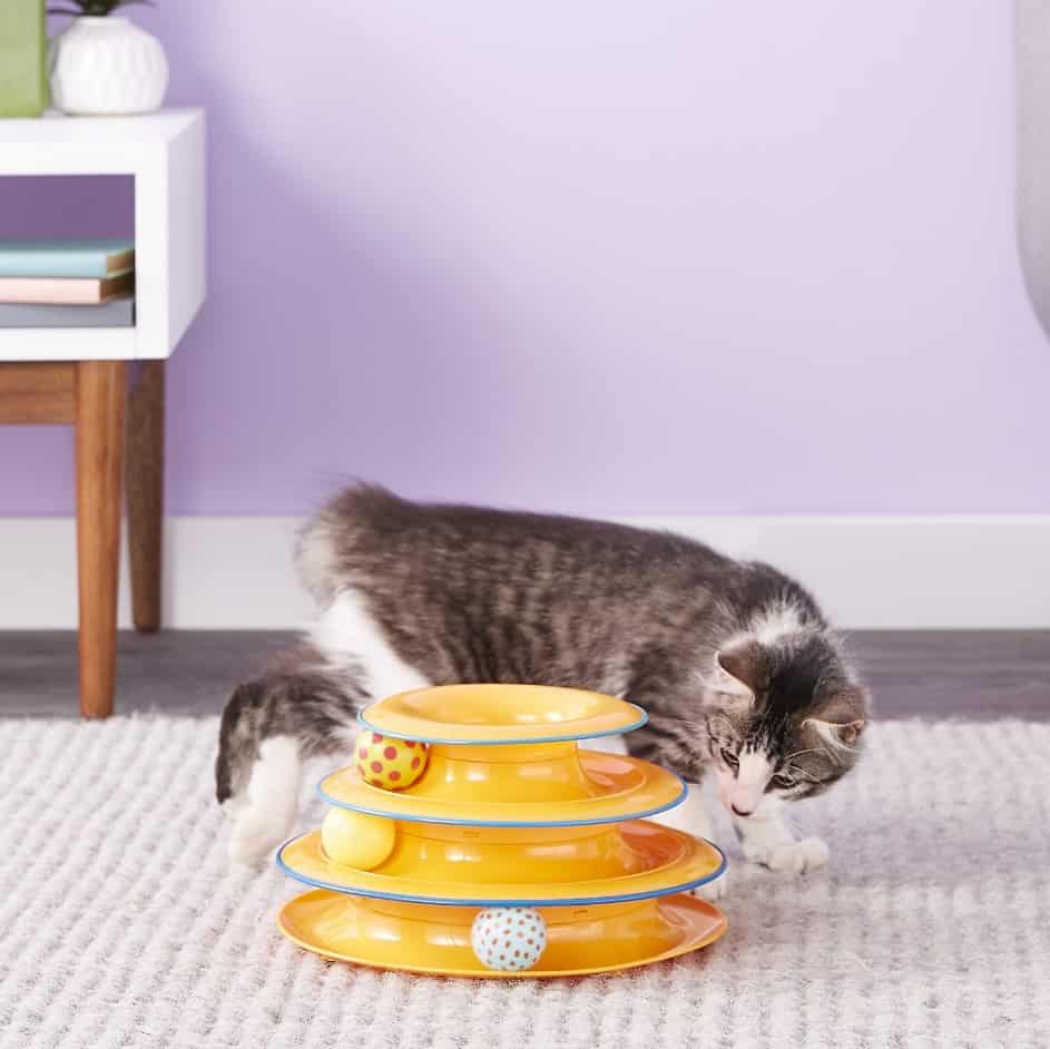 Beste interactieve kattenspeelgoed - Automatisch speelgoed voor je kat! 13
