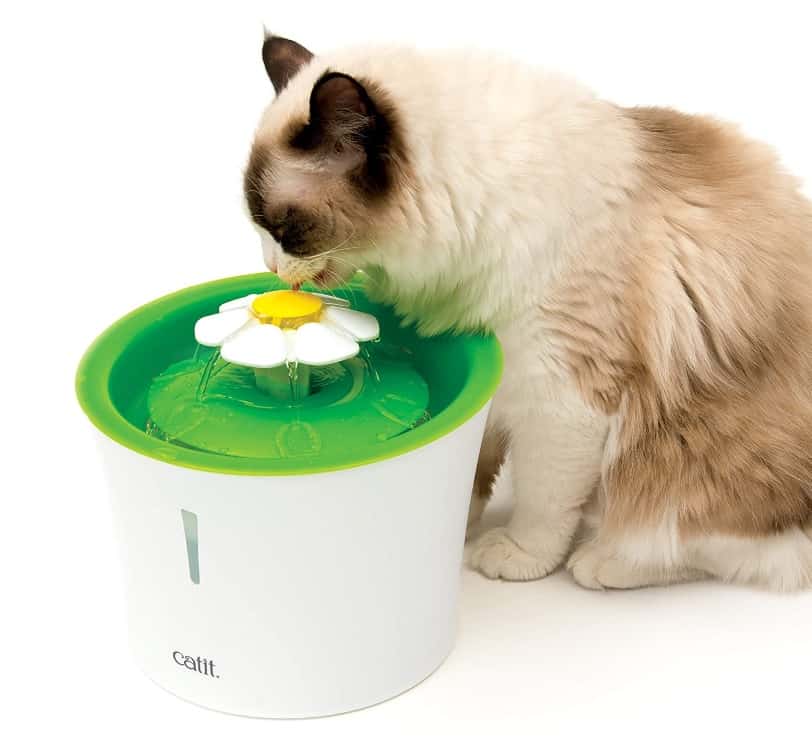 Beste interactieve kattenspeelgoed - Automatisch speelgoed voor je kat! 24