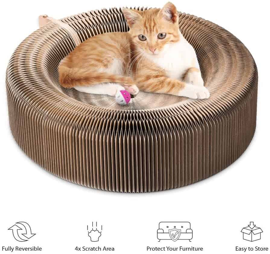 Top 13 Beste kattenspeelgoed Beoordelingen: Cool &Engaging Toys for Indoor Cats 19