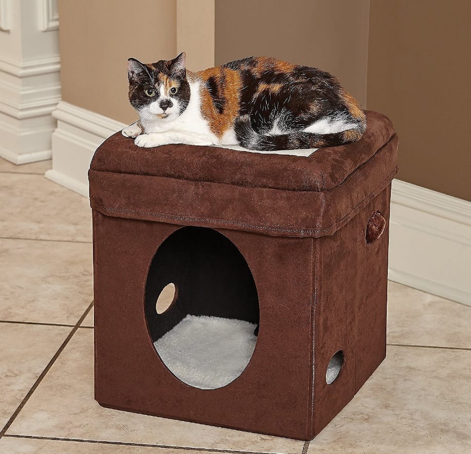 Top 13 Beste kattenspeelgoed Beoordelingen: Cool &Engaging Toys For Indoor Cats 14
