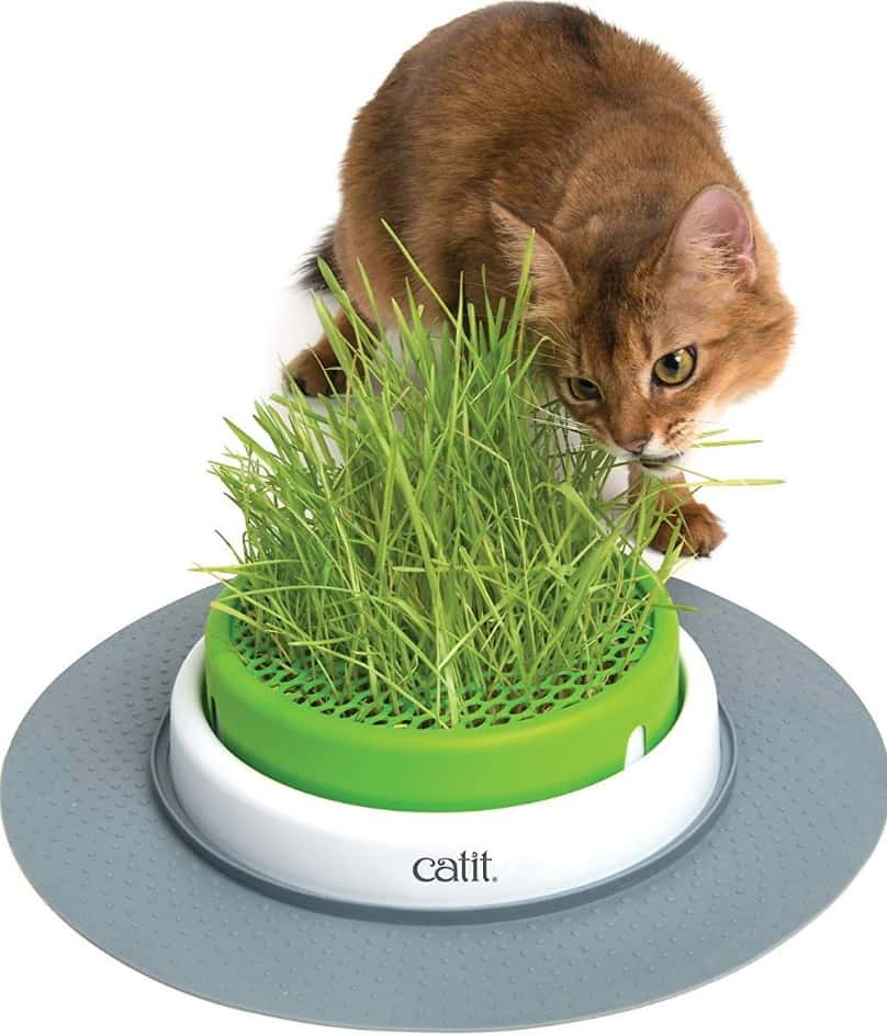 Top 13 Beste kattenspeelgoed Beoordelingen: Cool &Engaging Toys For Indoor Cats 31