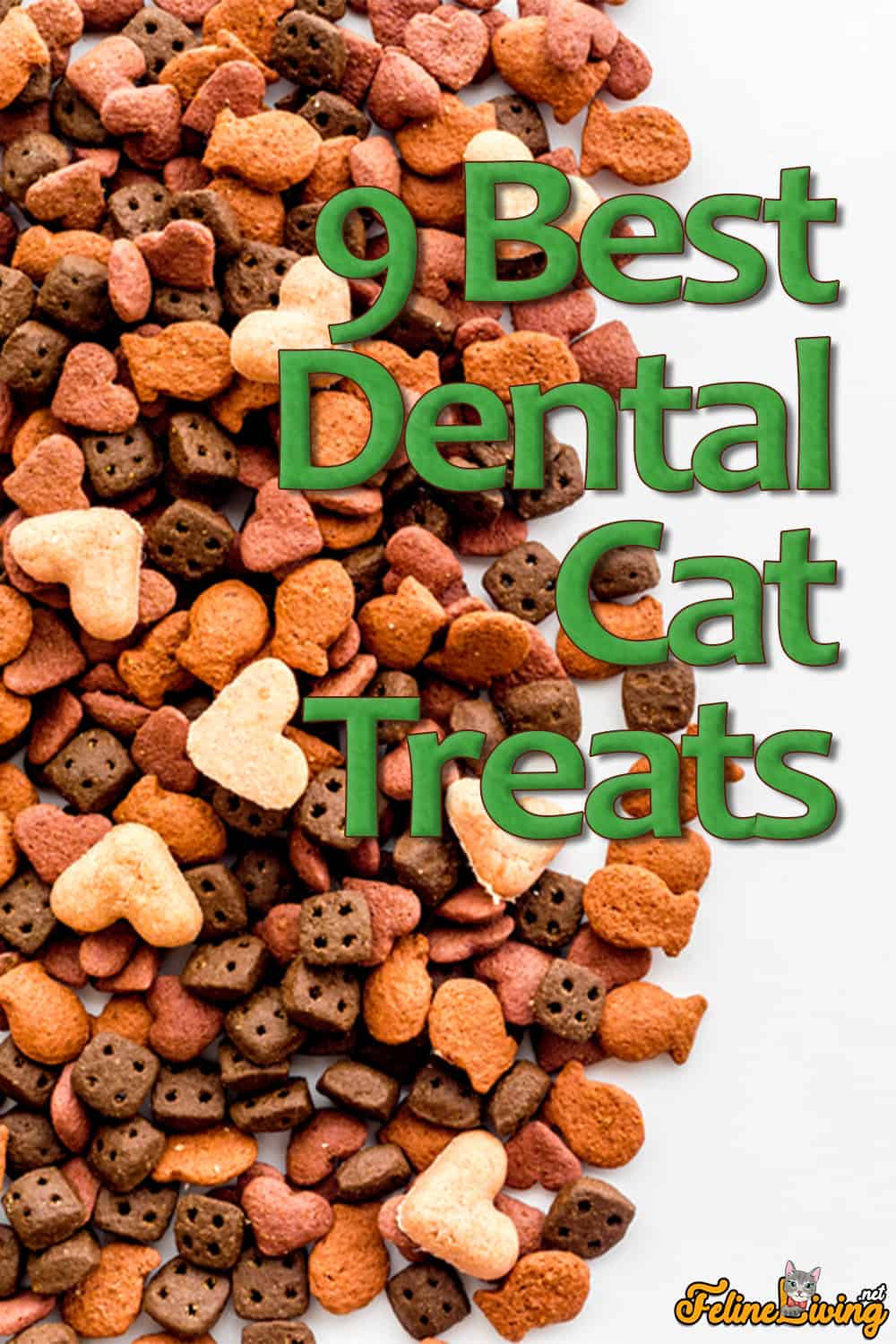 9 Beste tandheelkundige traktaties voor katten in 2022: redenen waarom je ze zou moeten geven onthuld!