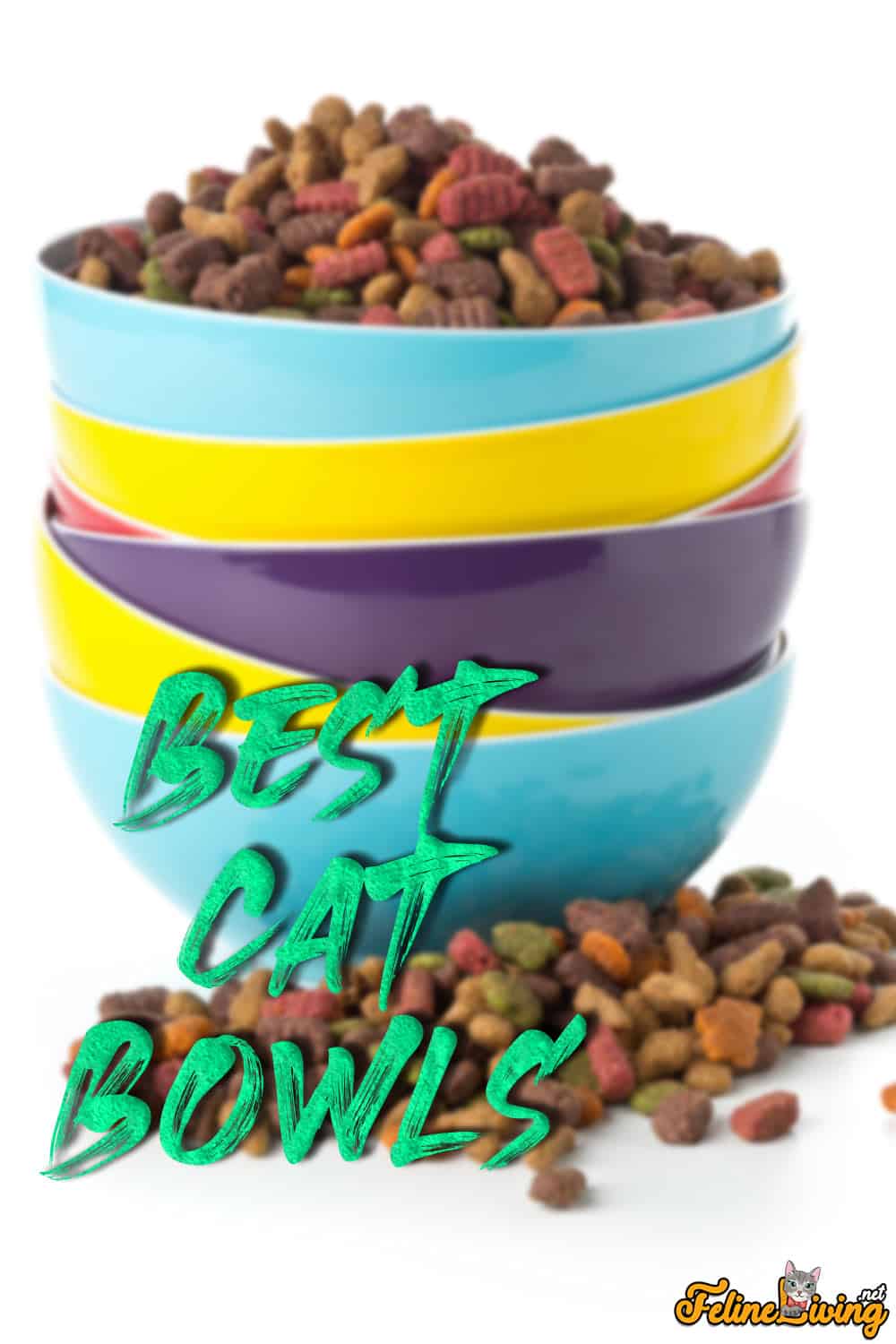 2022 Beste kattenbakken: veilige en handige voedselkommen voor uw kitties