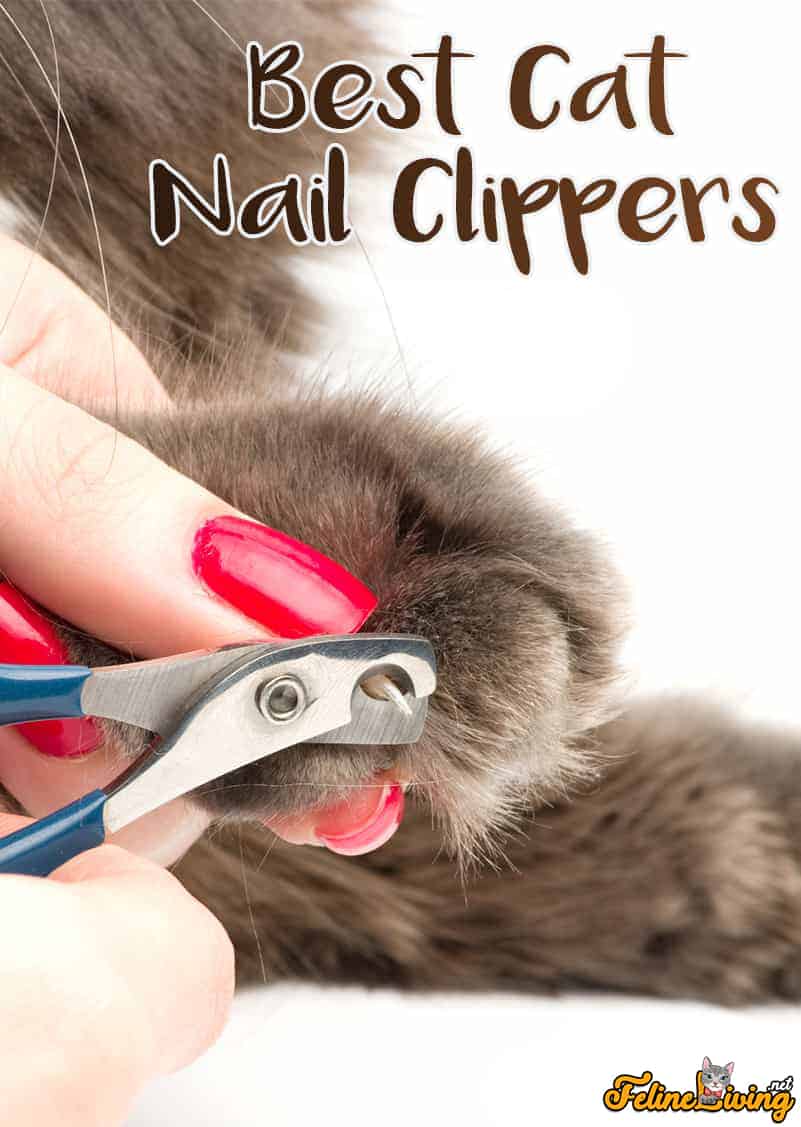 12 Beste kattennagelknippers en klauwtrimmers beoordelingen voor uw kat