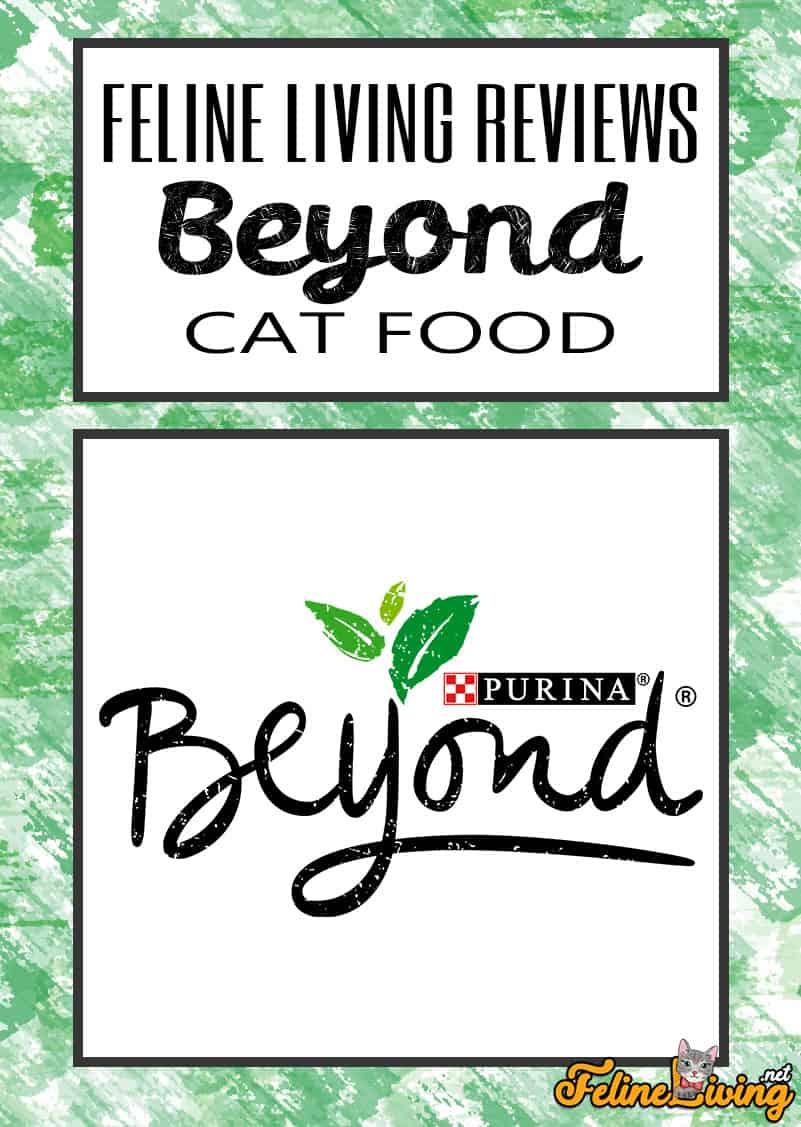Purina Beyond Cat Food Review 2022 - Is dit de juiste keuze?