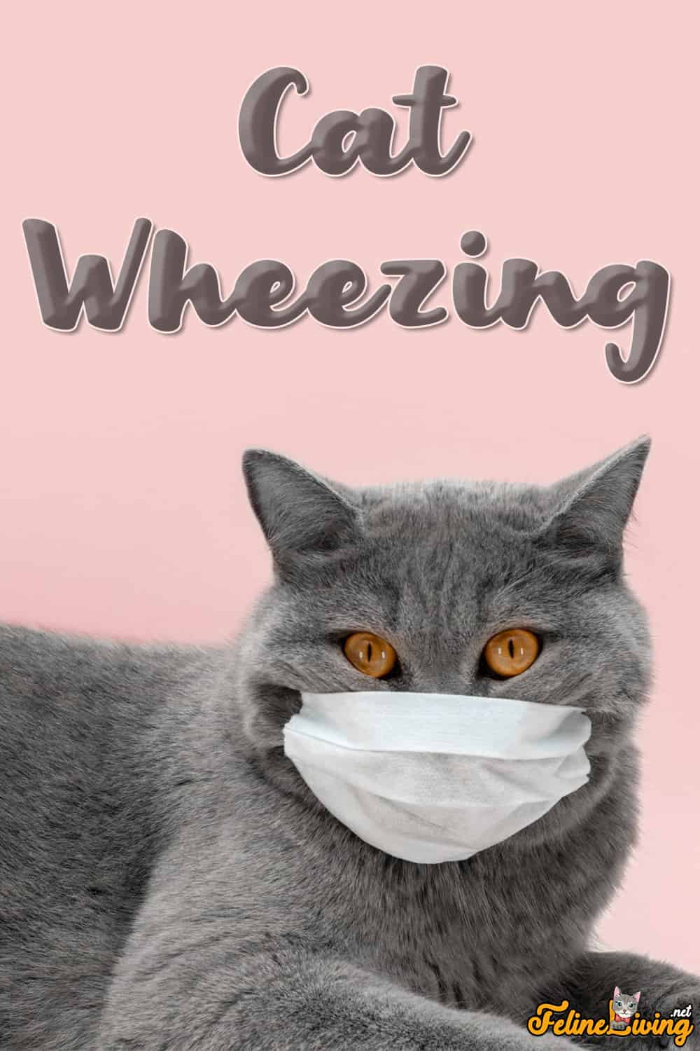 Waarom piept mijn kat? 9 Veel voorkomende oorzaken van piepende ademhaling en hoesten