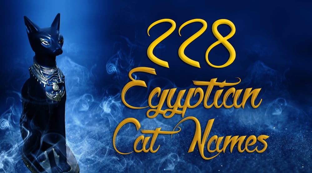 228 Egyptische kattennamen