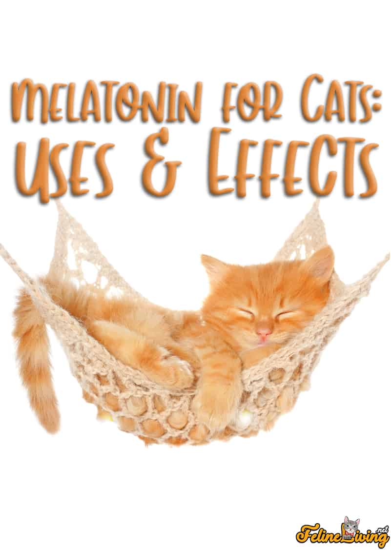 Melatonine voor katten gebruikt en mogelijke bijwerkingen