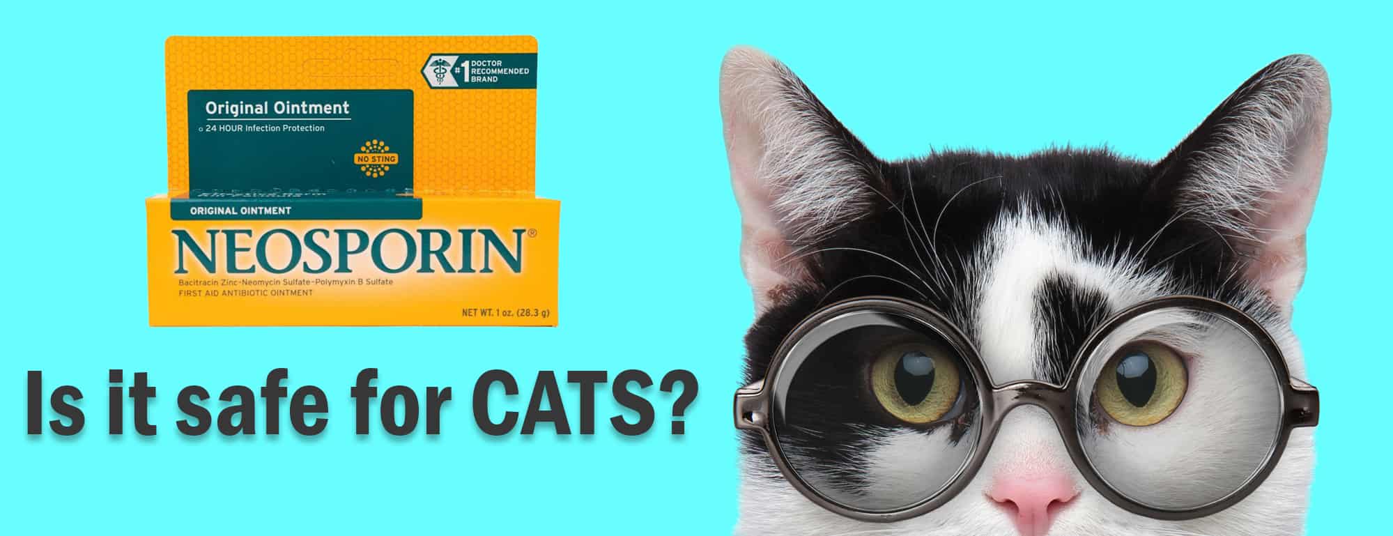 Neosporin - Is het veilig voor katten