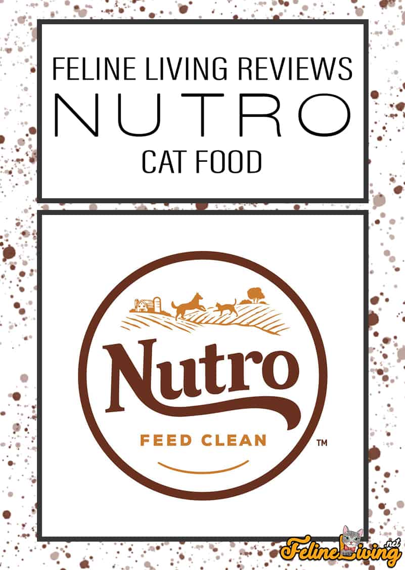Nutro Cat Food Beoordelingen 2022: een eerlijke feedback op de bestsellers van Nutro