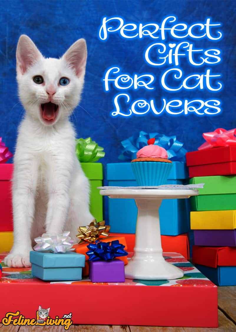 50+ Paw-some cadeaus voor kattenliefhebbers om in elk budget te passen!