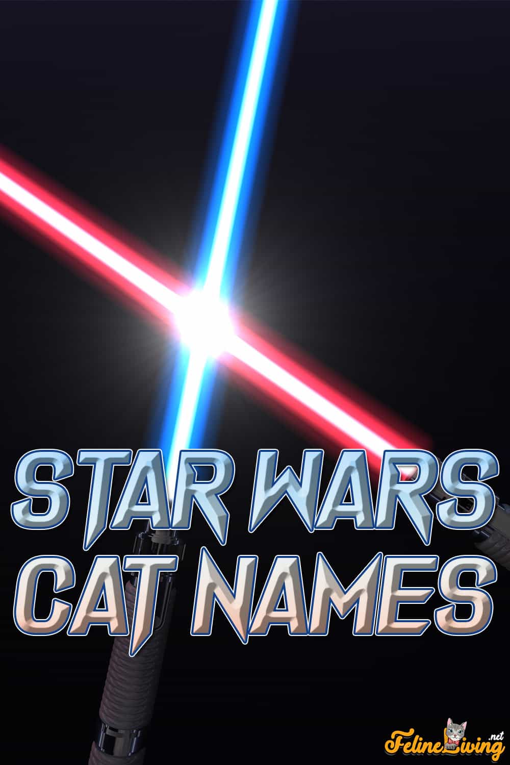 Star Wars-kattennamen: 50 beste namen geïnspireerd door een sterrenstelsel ver, ver weg